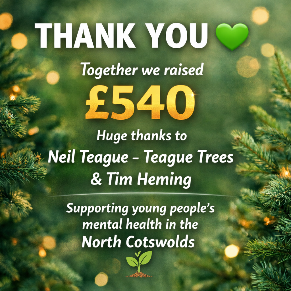 Christmas Tree Collection Raises £540 for Headspace