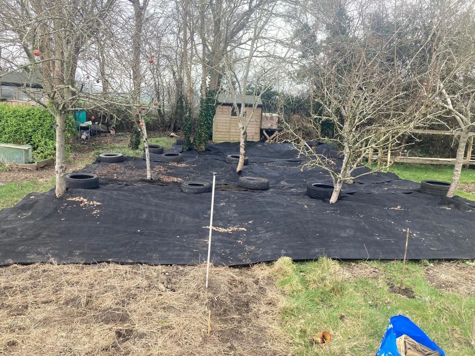 WhatsApp Image 2026-03-04 at 16.57.14.jpeg