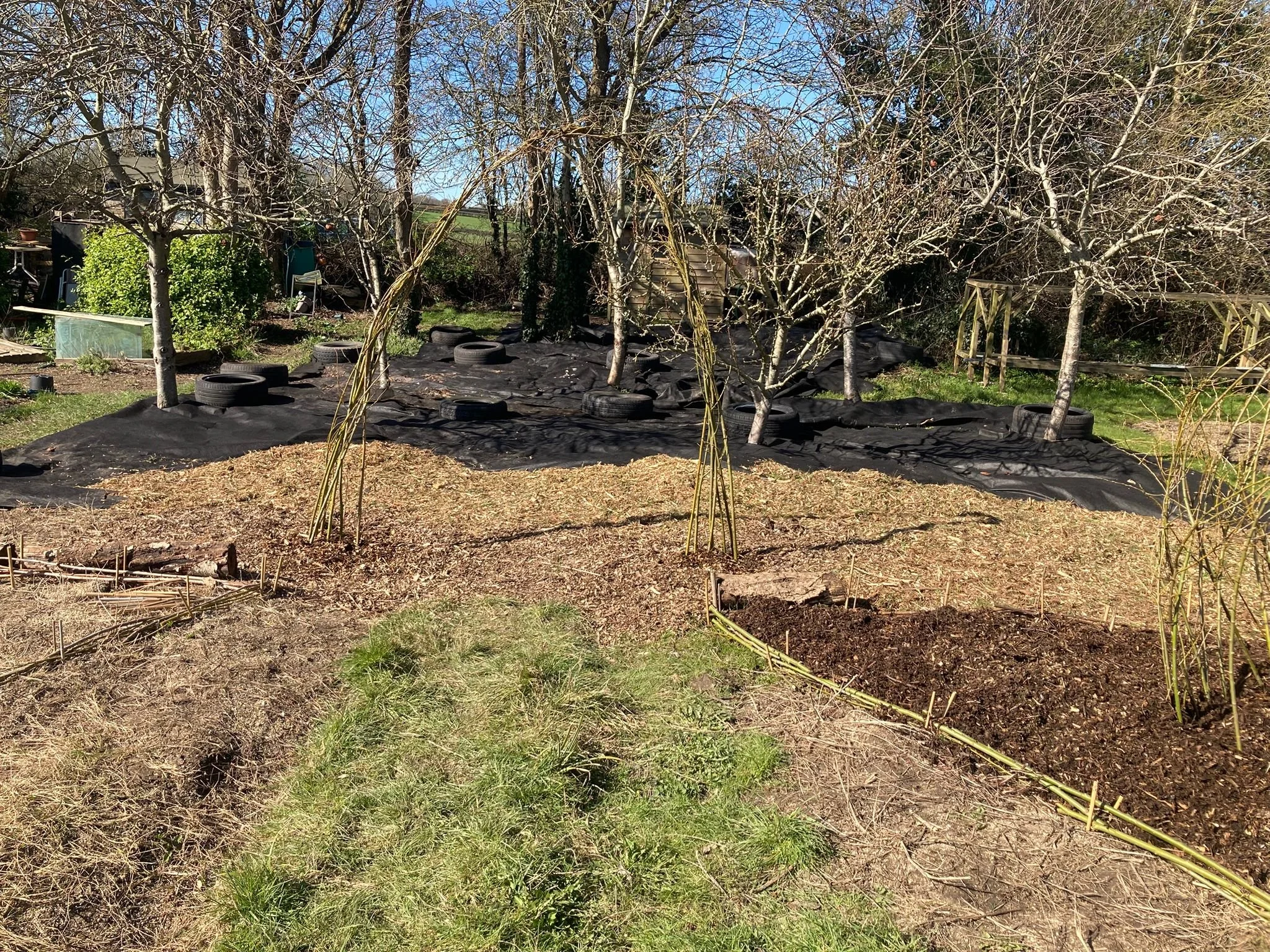 WhatsApp Image 2026-03-18 at 16.53.44.jpeg