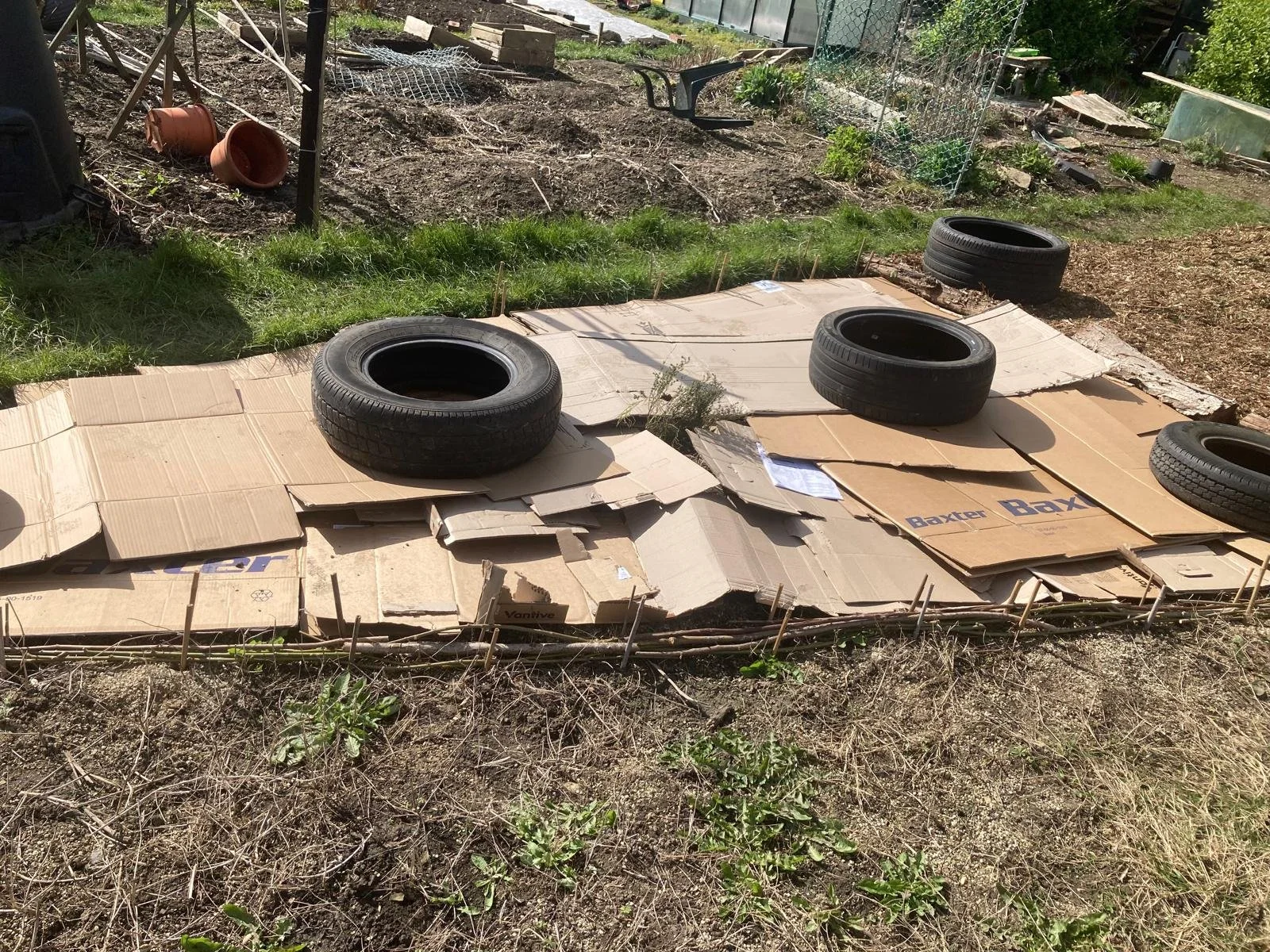 WhatsApp Image 2026-03-25 at 14.22.48.jpeg