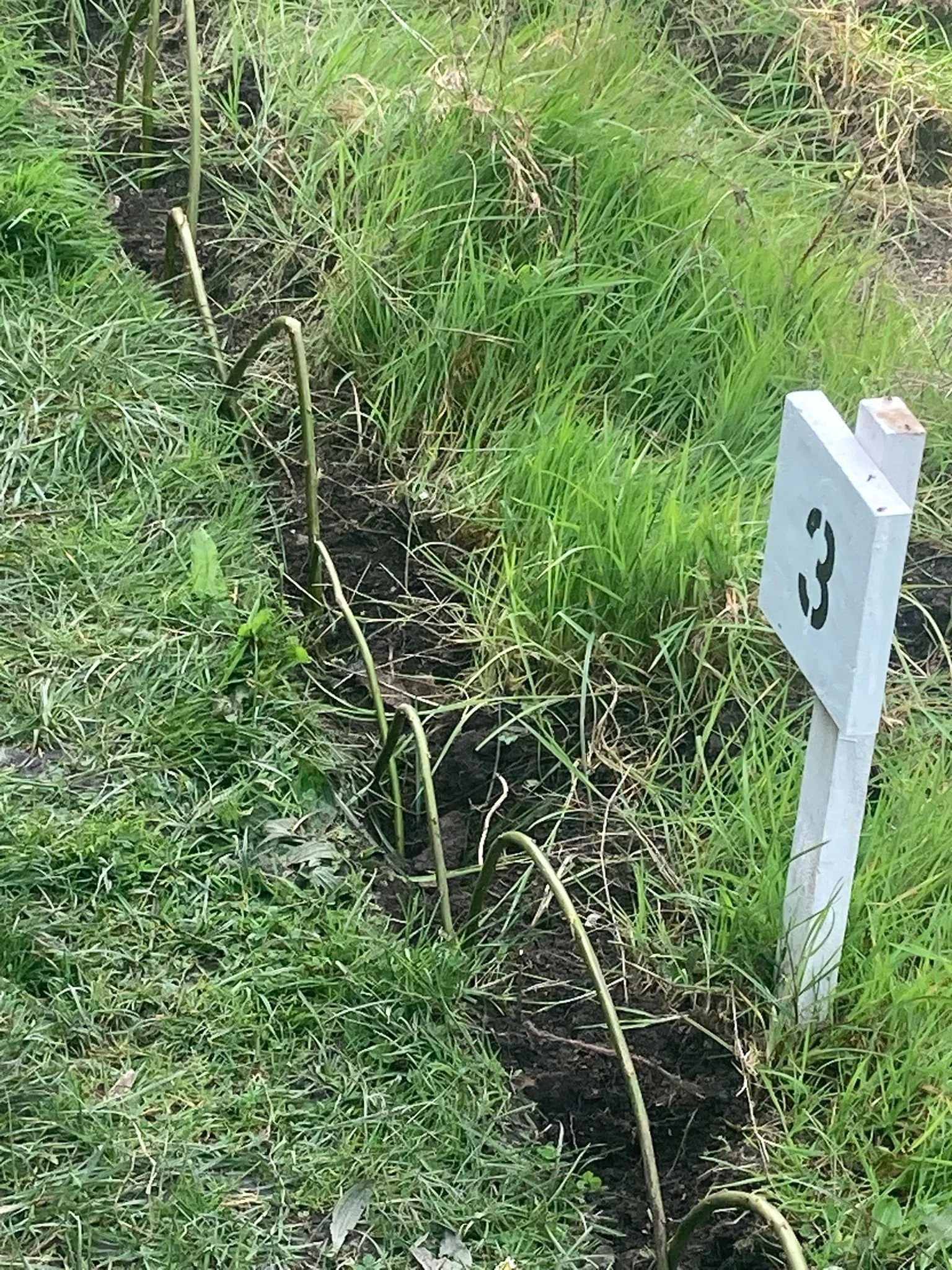 WhatsApp Image 2026-04-15 at 17.35.23.jpeg