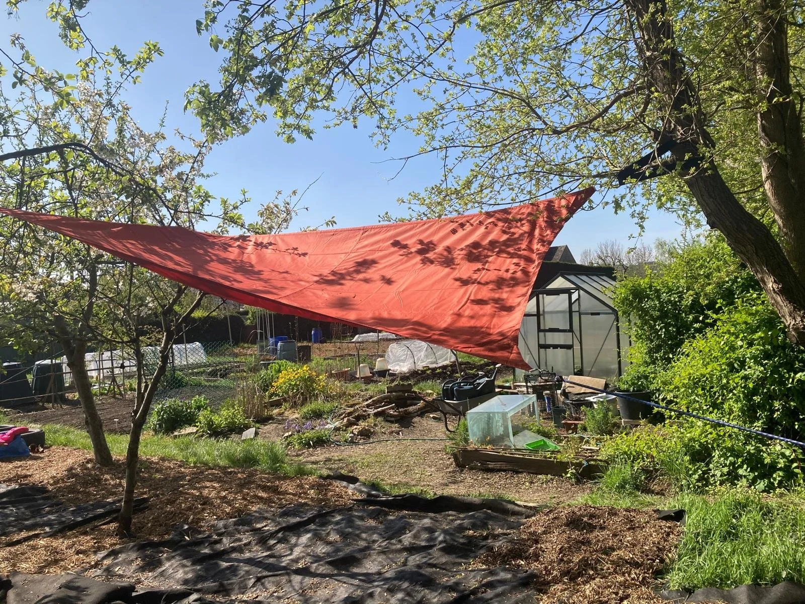 WhatsApp Image 2026-04-22 at 13.01.07.jpeg