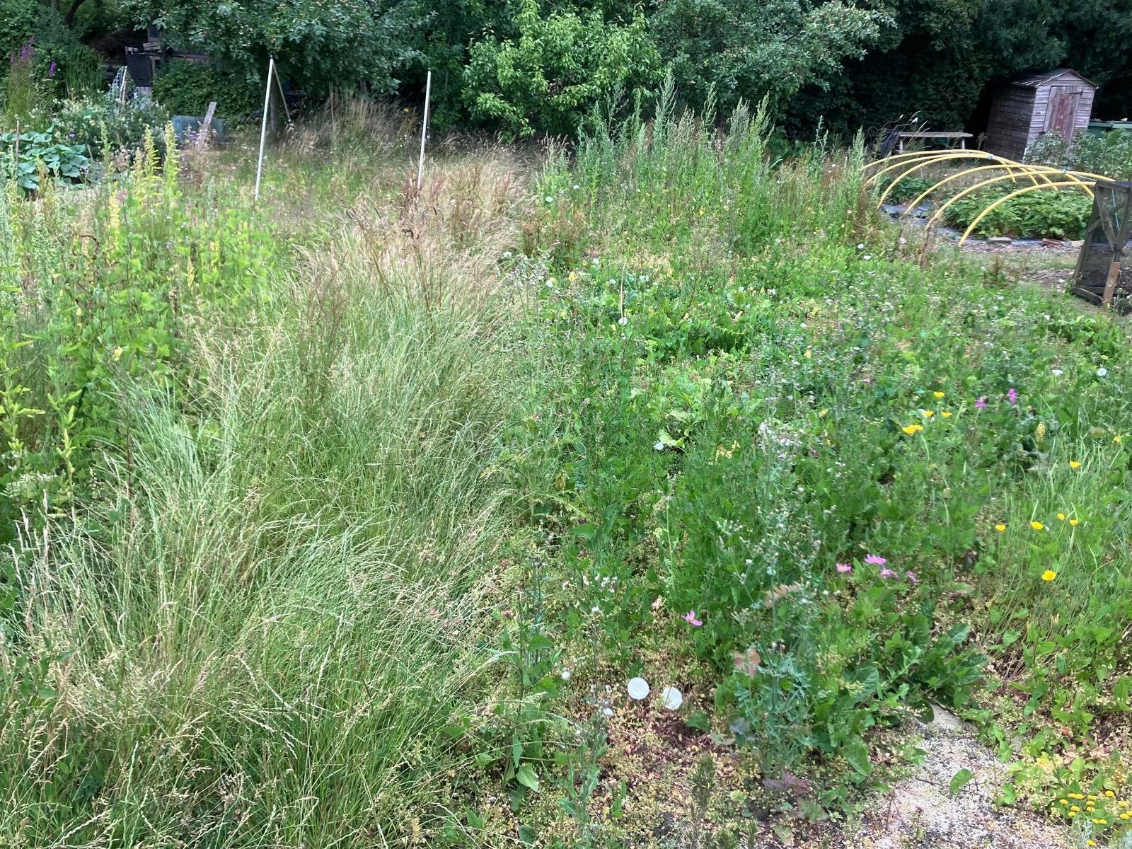 IMG-20250811-WA0007 (2).jpg