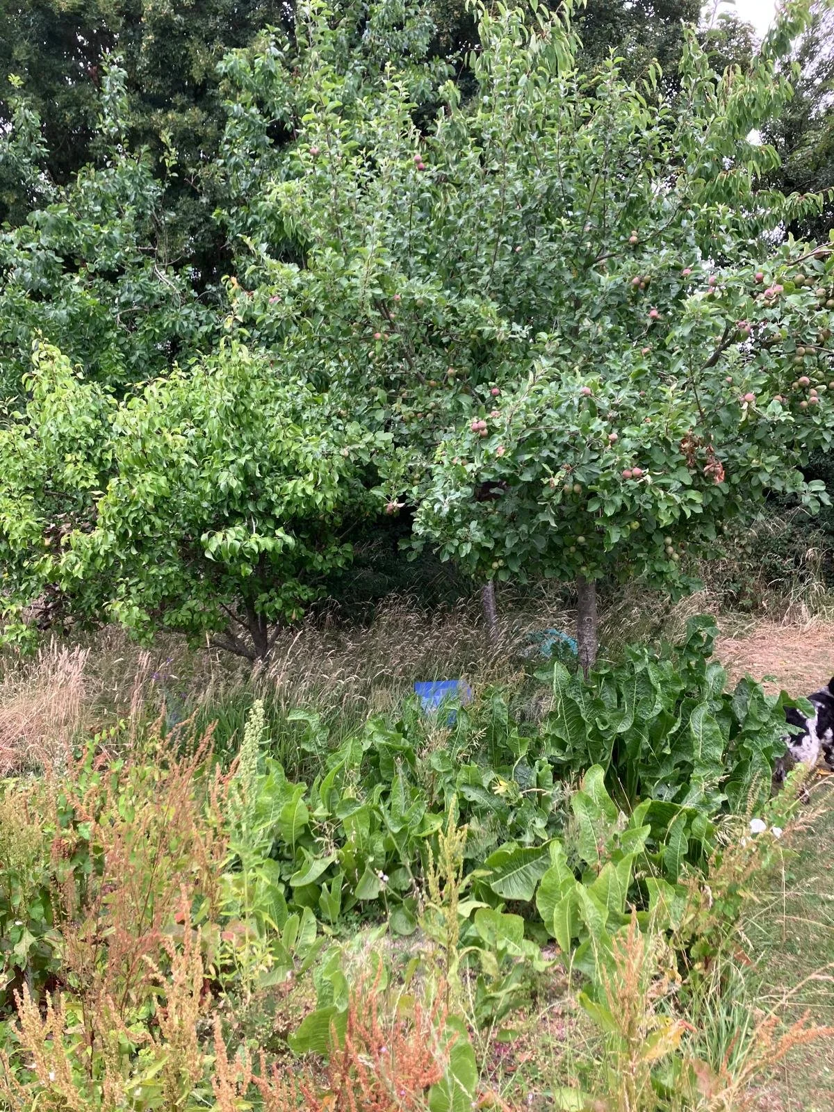 IMG-20250811-WA0011 (1).jpg