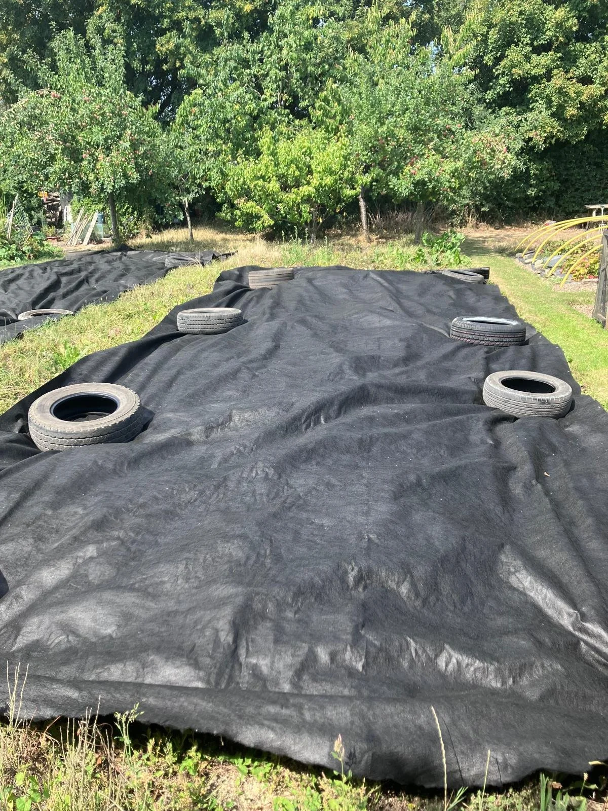 WhatsApp Image 2025-08-11 at 13.09.38_d71d04be (1).jpg