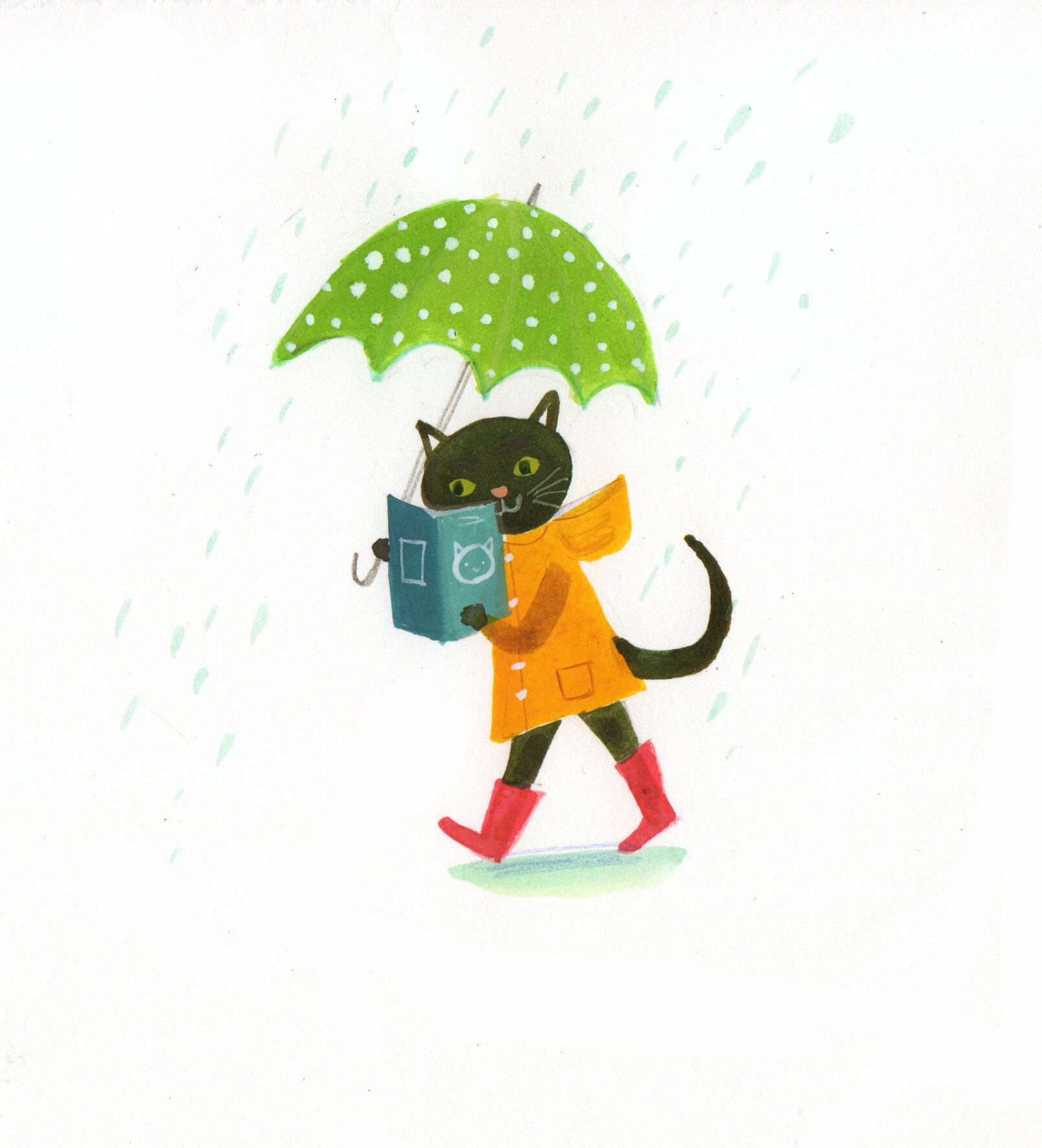 cat in rain.jpg