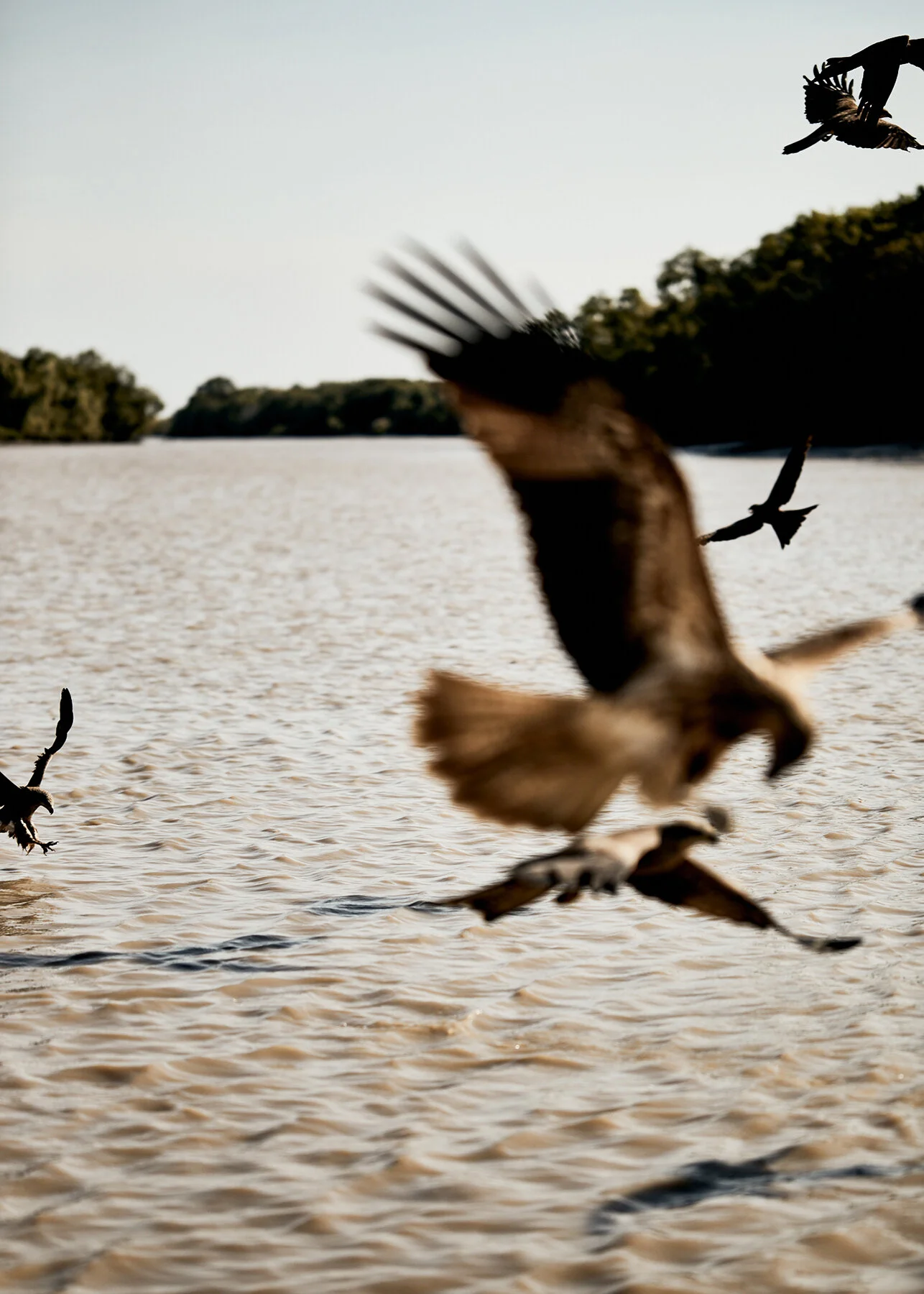 outdoor-adventure-wildlife-photographer-jeff-levingston.jpg
