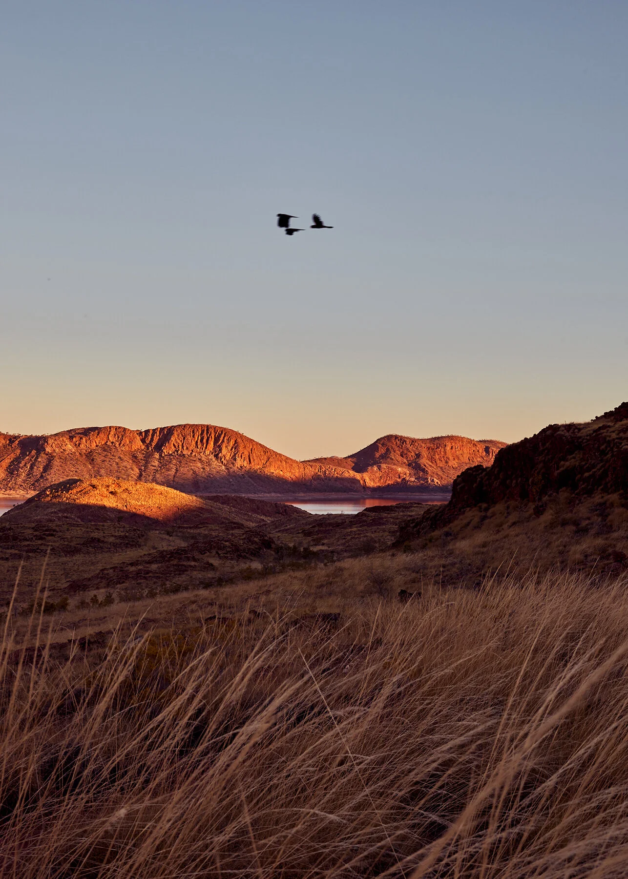 outdoor-adventure-lifestyle-photographer.jpg