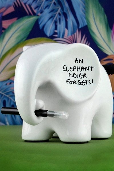 Lucky Elephant memo £19.99