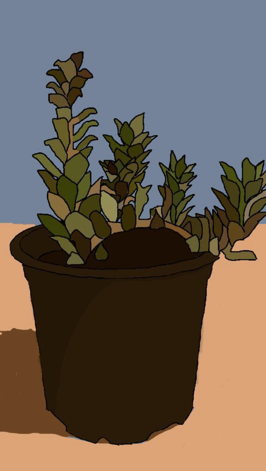 Lola y7.png