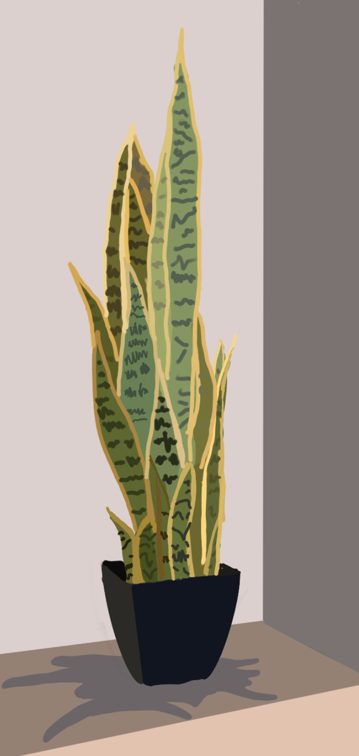 Adelaide H 7C.png