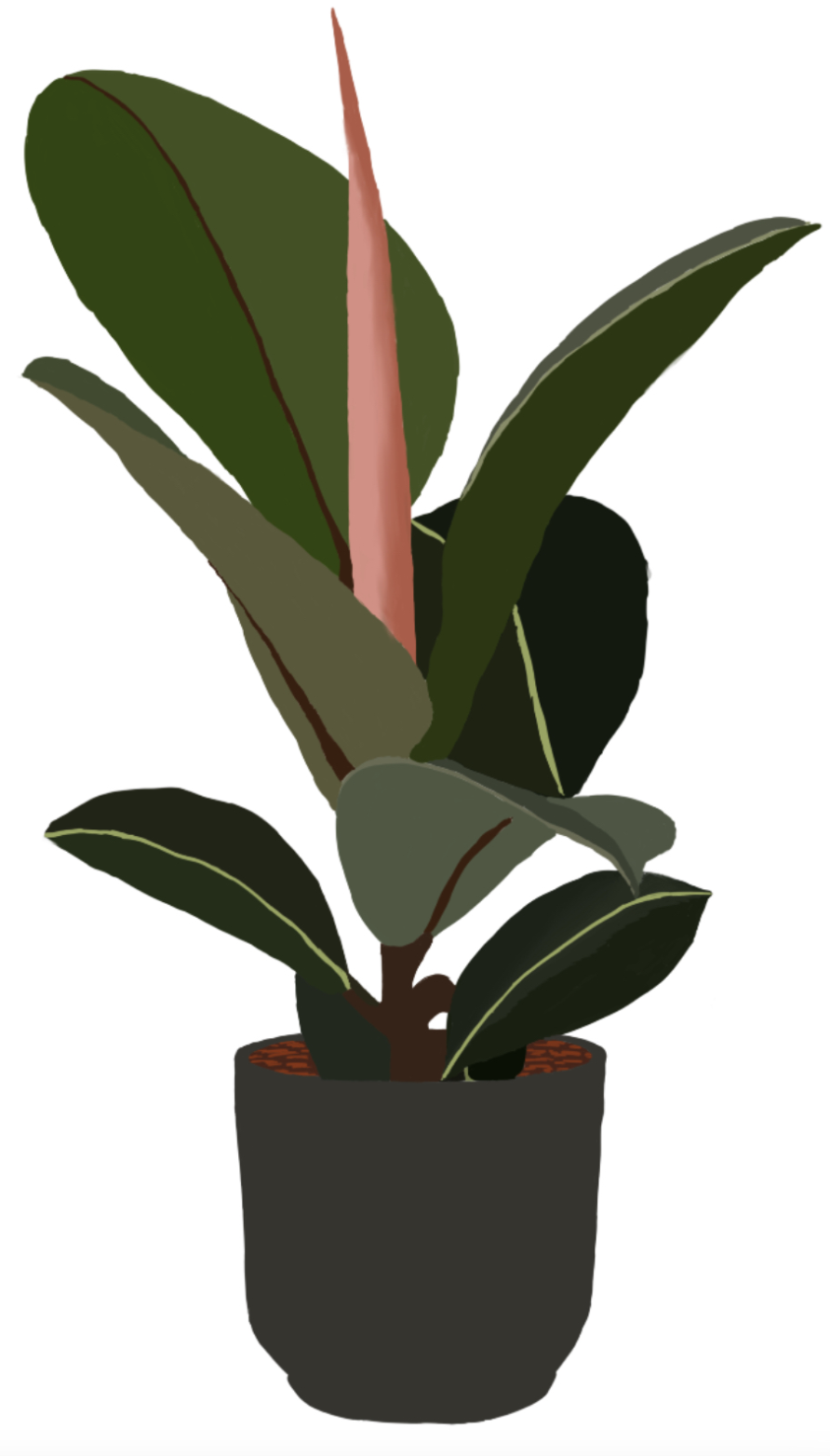 Elina y7.png