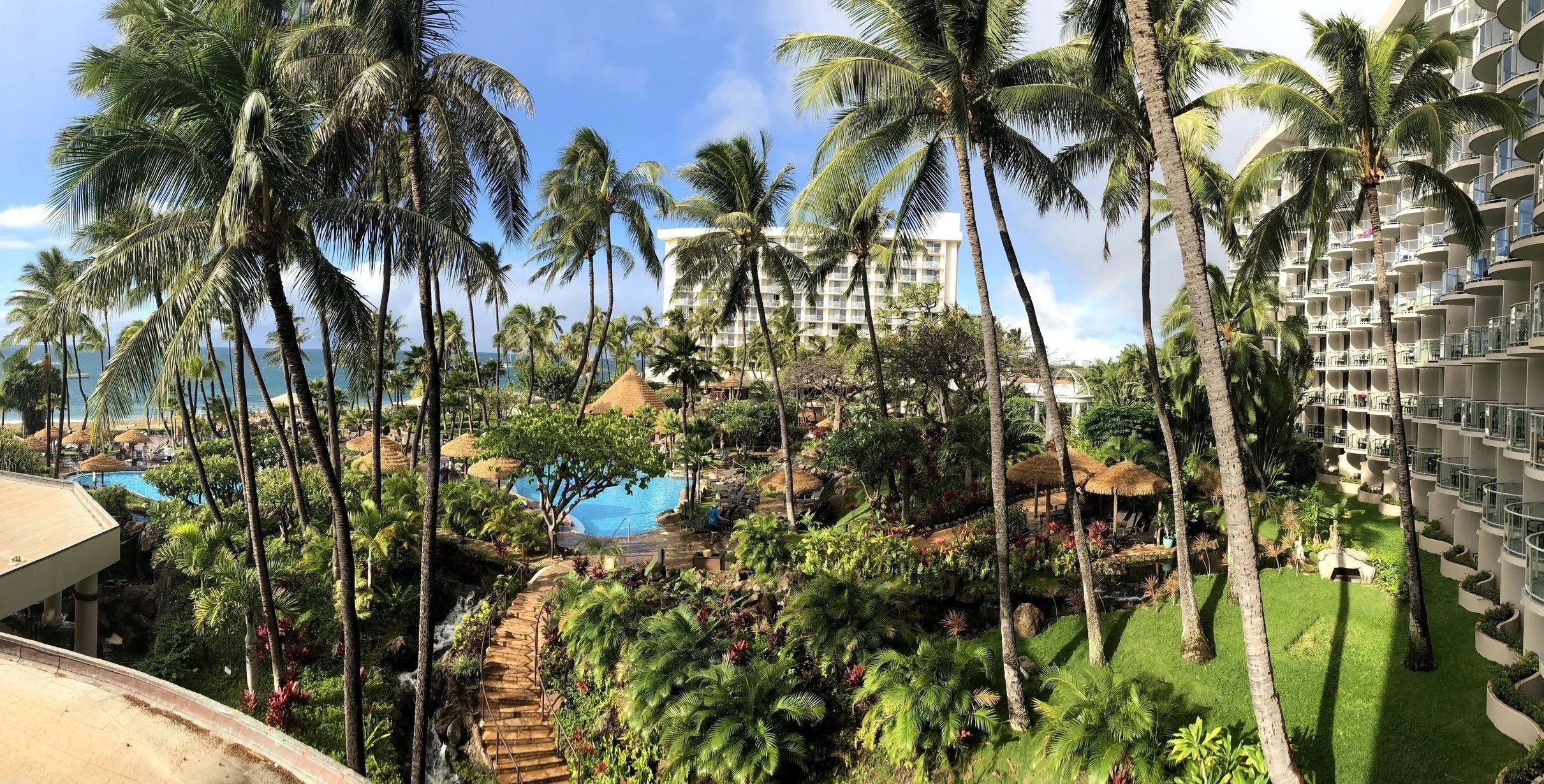 Tropical resort with palm trees, pool, and ocean view