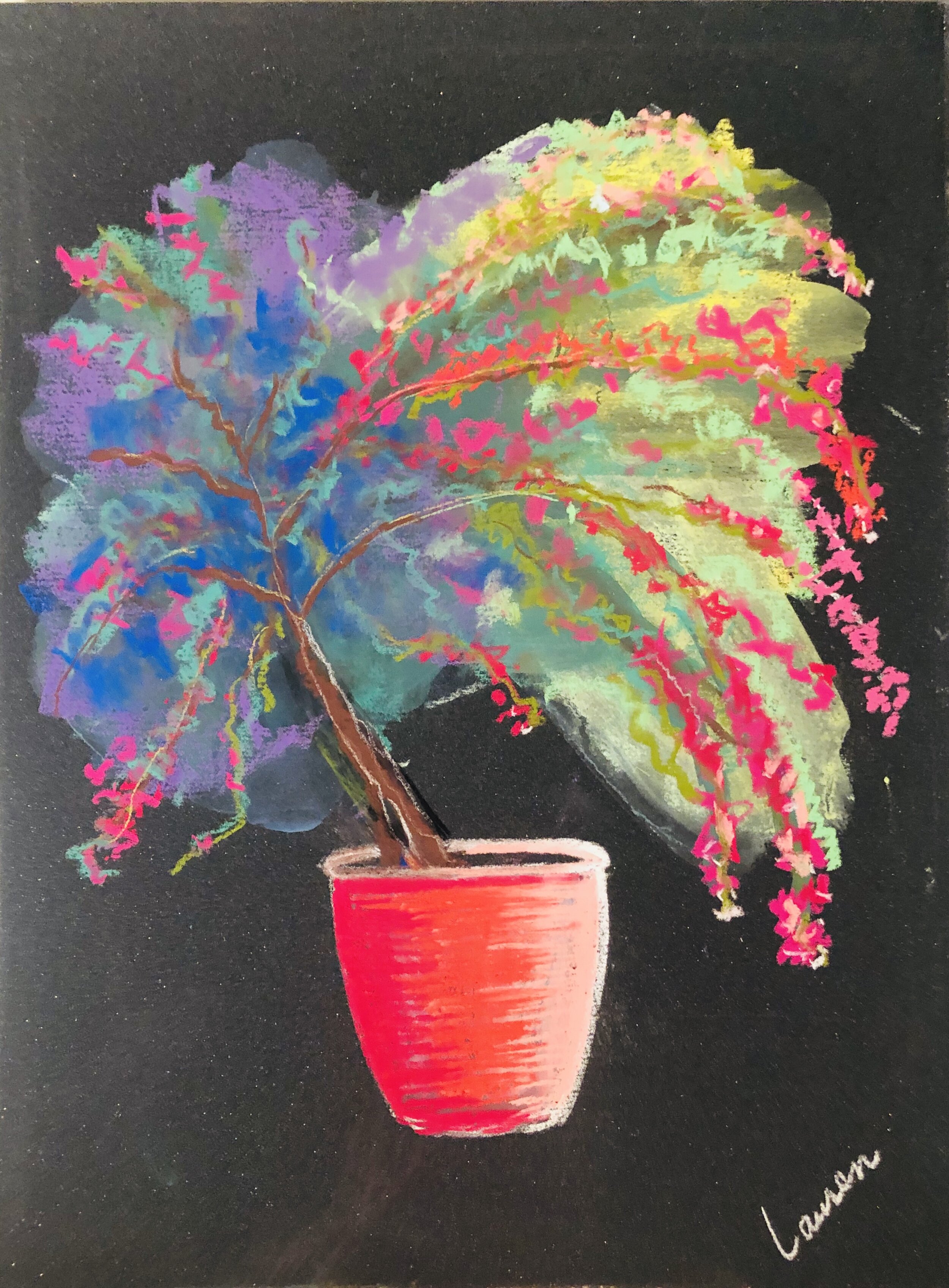 Bougainvillea;
Seville, Spain; Pastels on UArt 400 Paper
2019