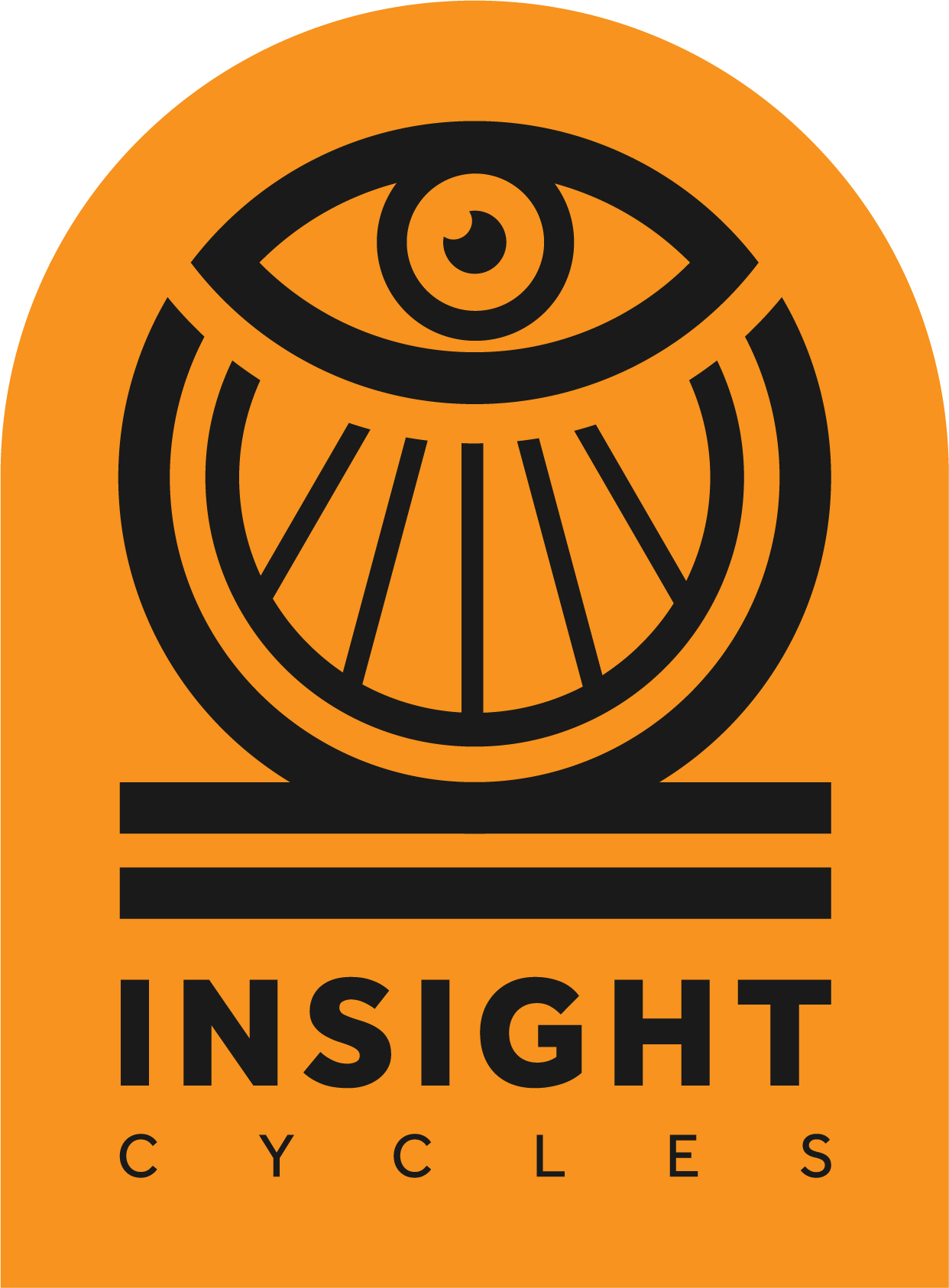 Insight Cycles