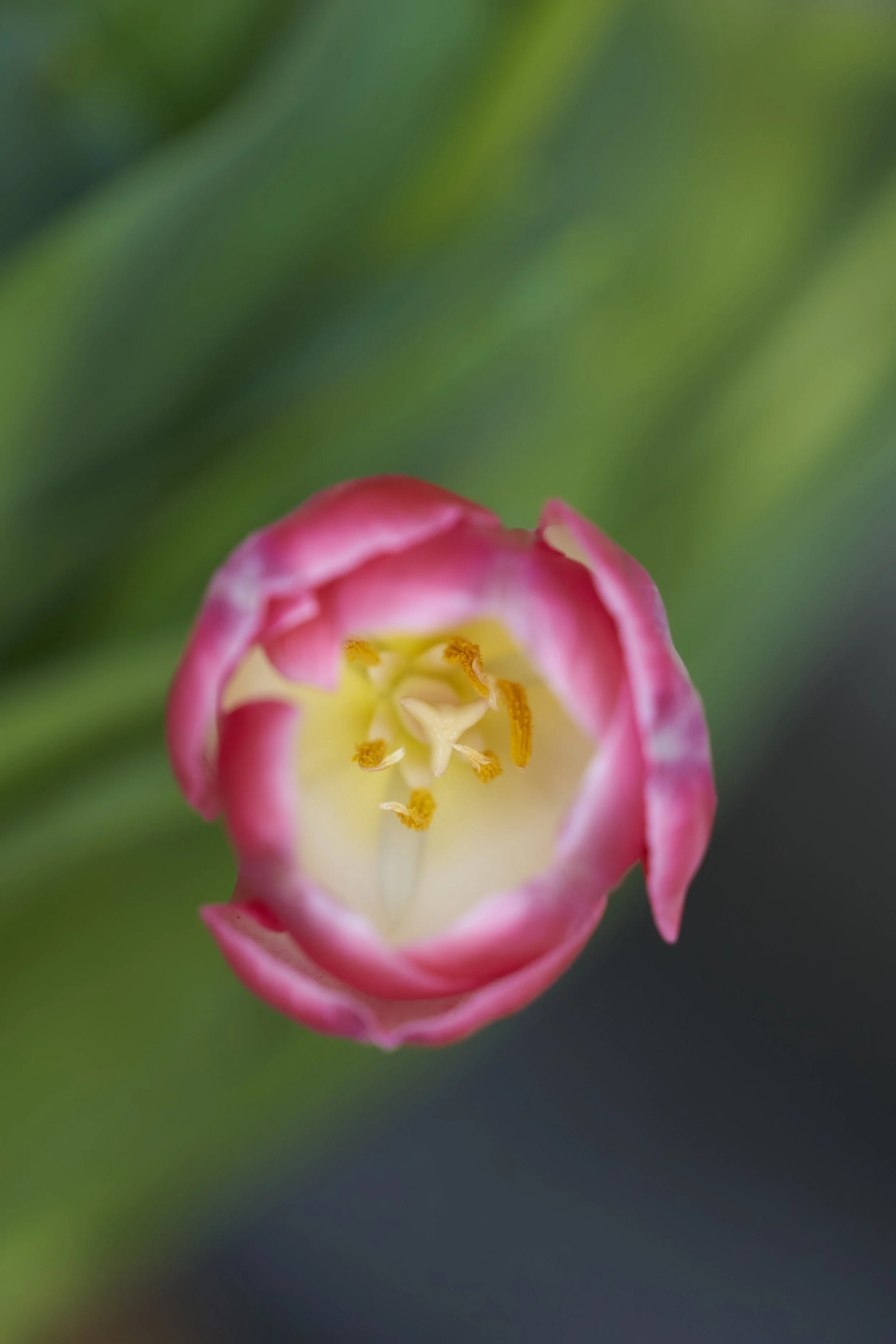 DSC07440.jpg