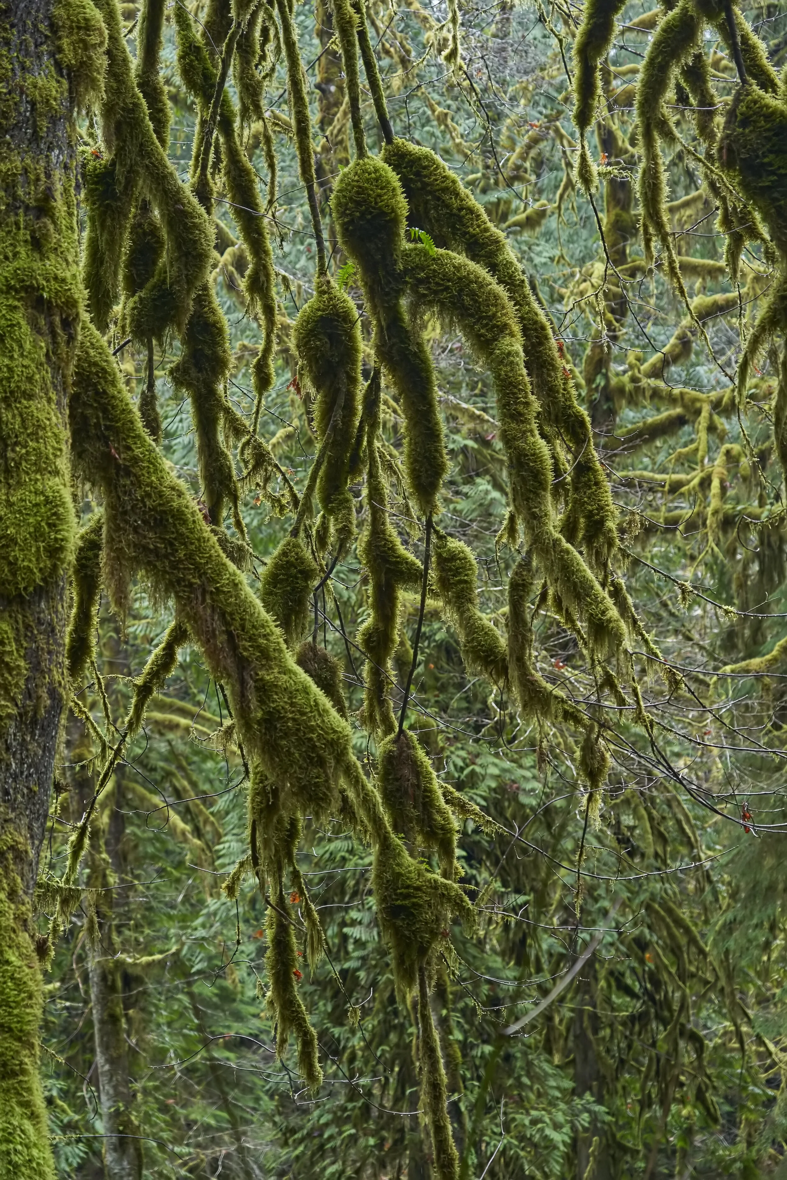 DSC03263X.jpg