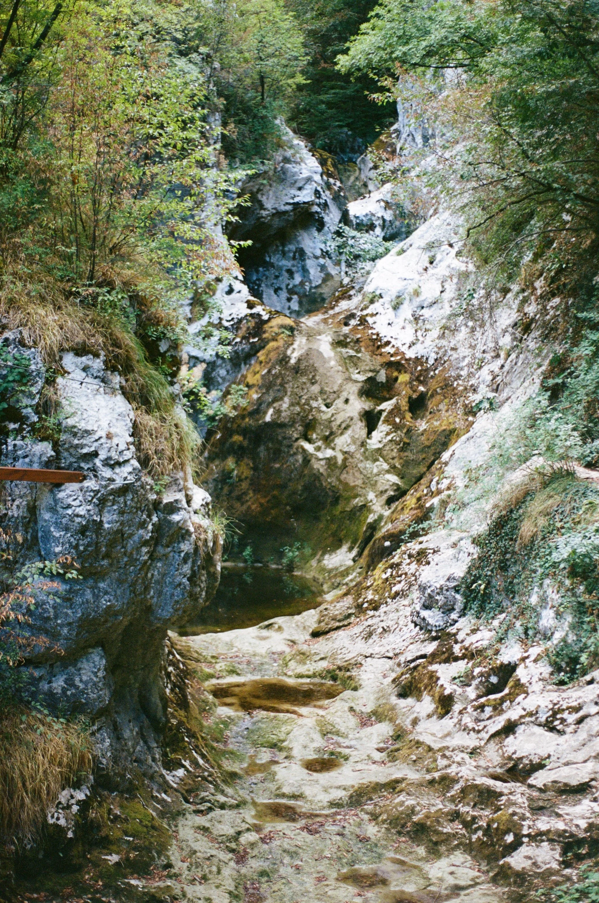 Where the water used to fall
