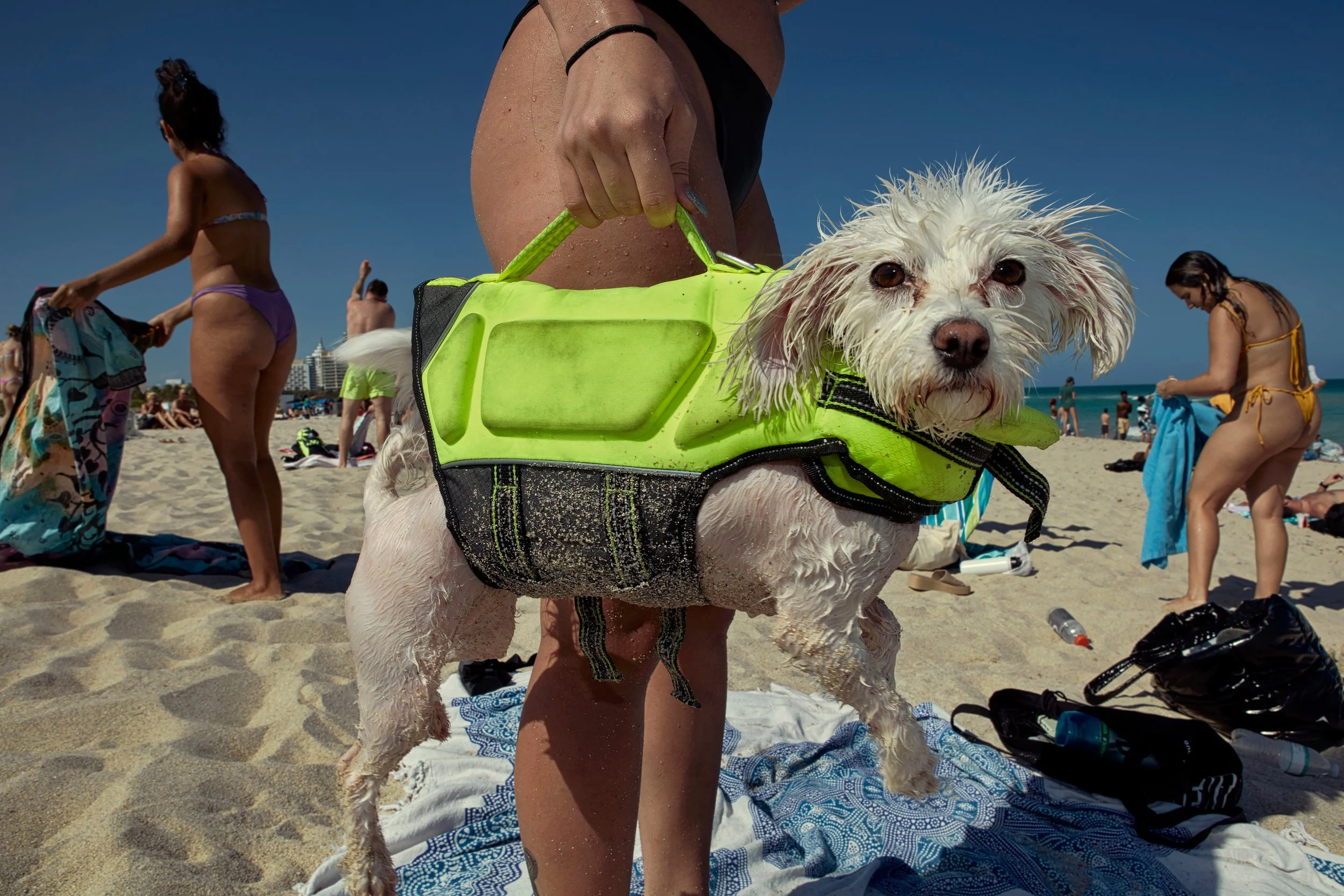 Beach Epiphany