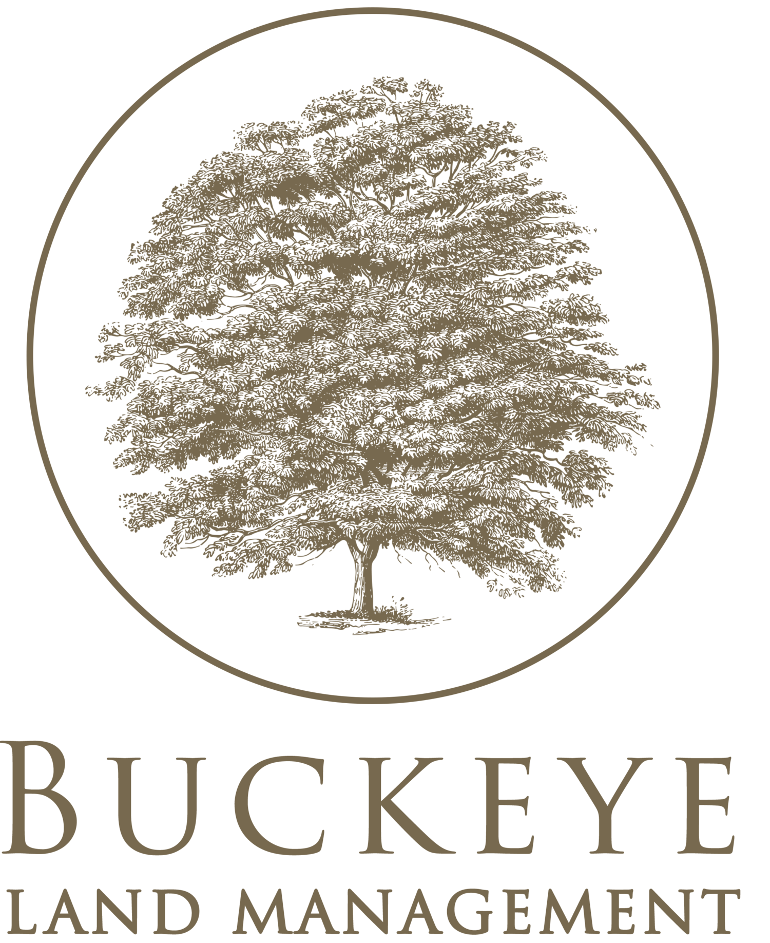 Buckeye Land Management