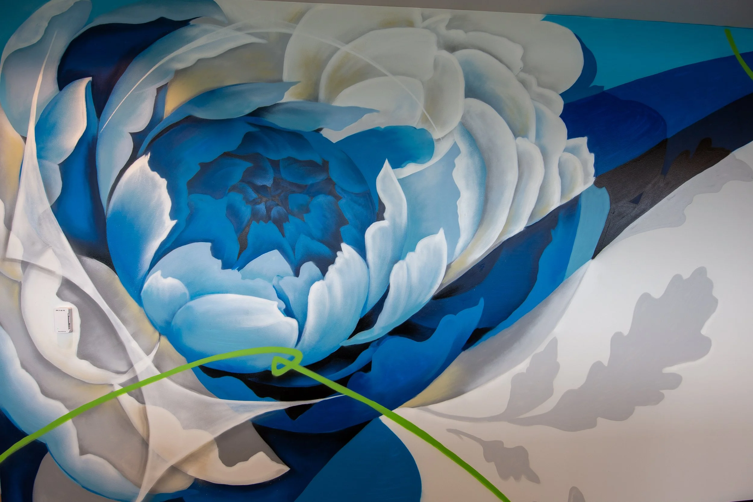 morgancookmckcreativemuralartistnorthcarolina-13.jpg