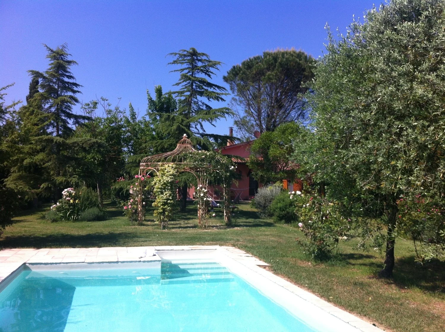 Aishani Yoga 6 copy.jpg