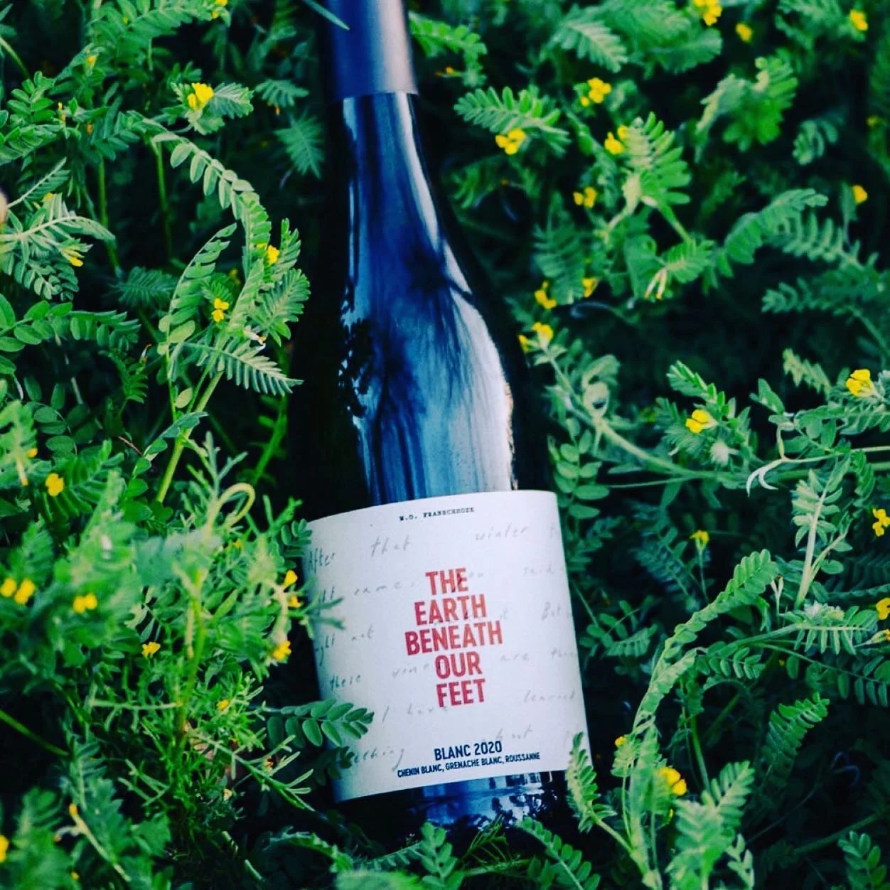 ☀️🍇Summer Wine Offer 🍷 

At JFH we are all about championing small-scale businesses that restore dignity to farmers and growers - they are the people so often trampled under the wheels of industrial agribusiness to supply supermarket shelves. 

Our