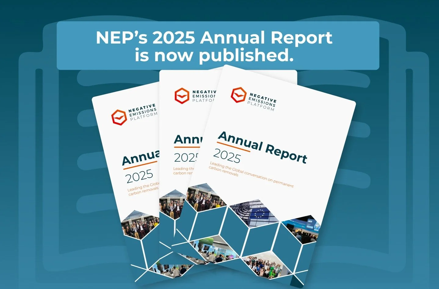 Negative Emissions Platform publishes 2025 Annual Report