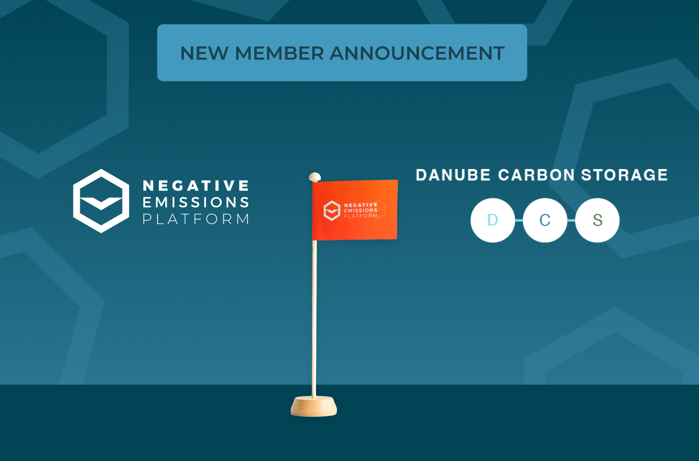 Danube Carbon Storage joins the Negative Emissions Platform