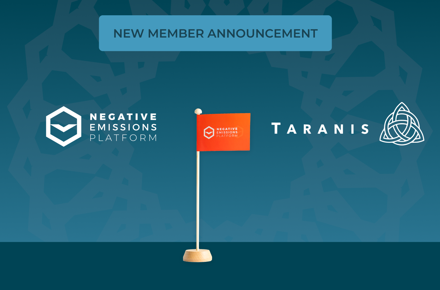 Venture capital firm, Taranis, joins NEP