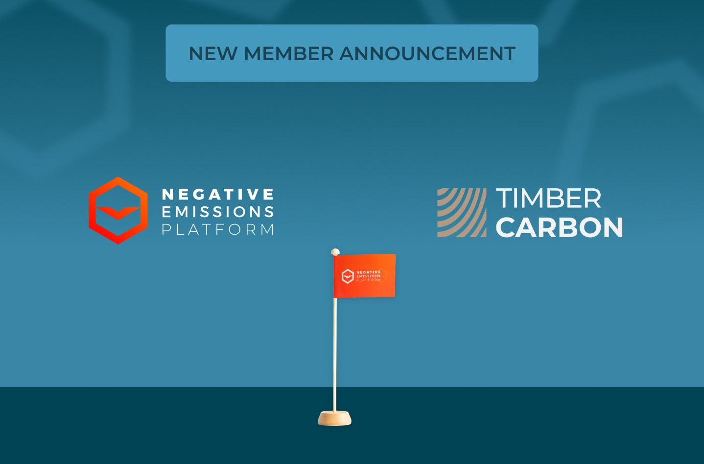 Timber Carbon joins the Negative Emissions Platform