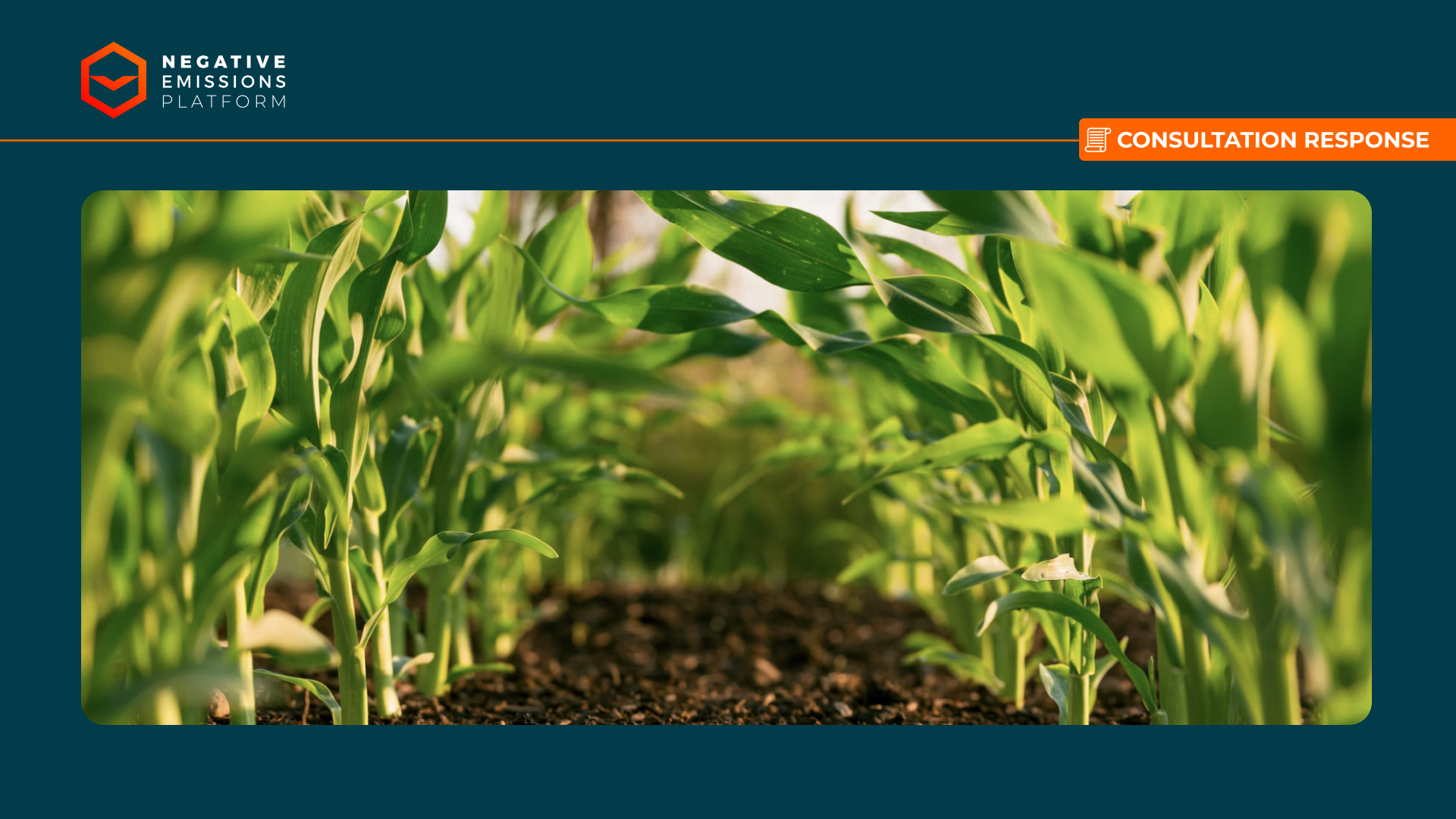 carbon-removals-and-carbon-farming-regulation