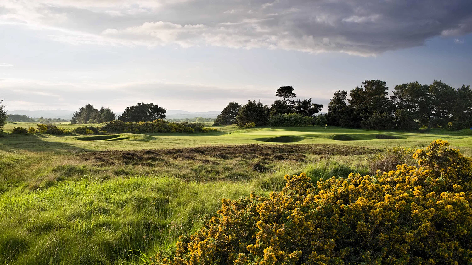 The Irvine Golf Club