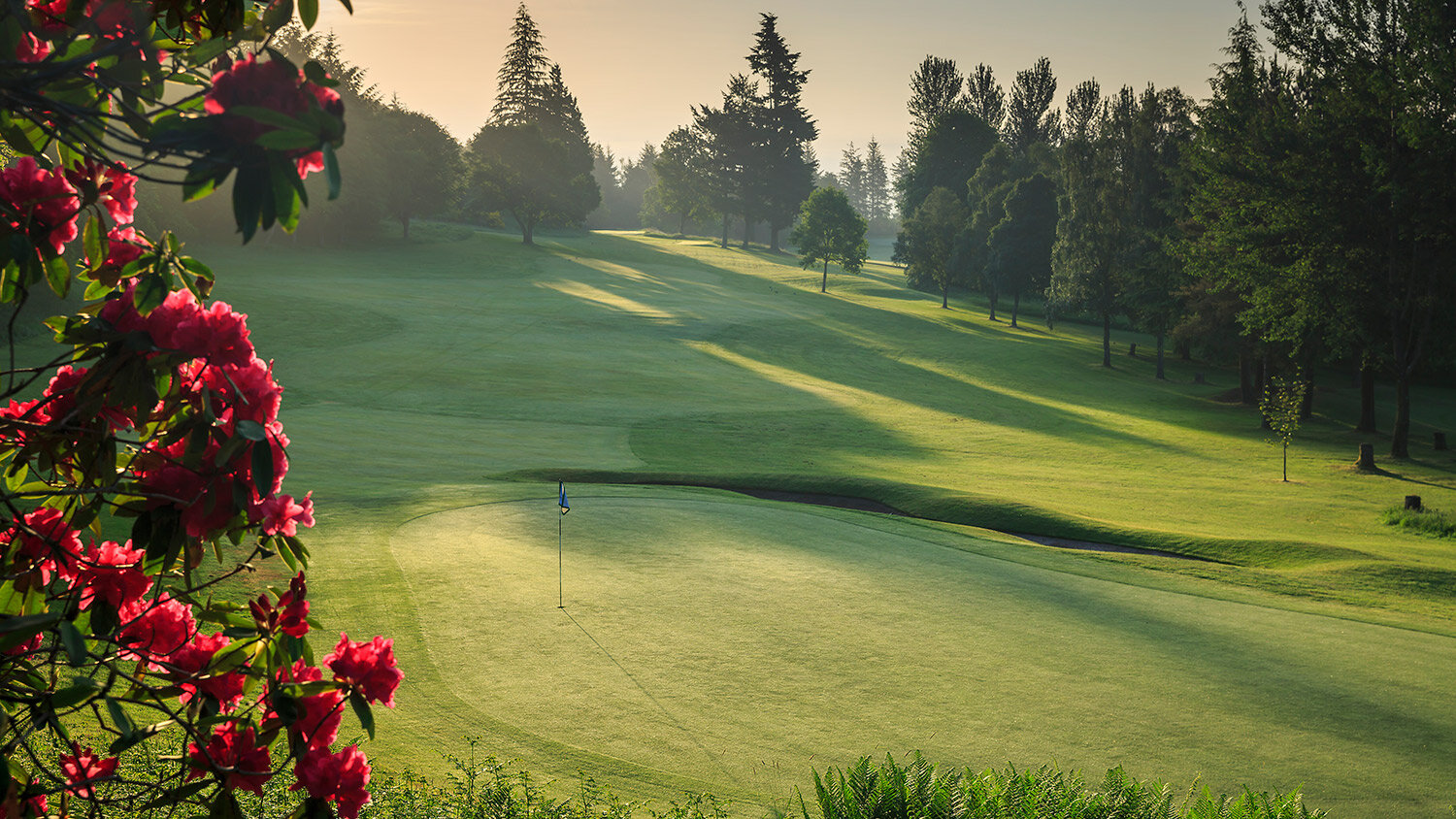 scotland-scottish-golf-perthshire-golf-courses-crieff-ferntower-14th-gallery.jpg