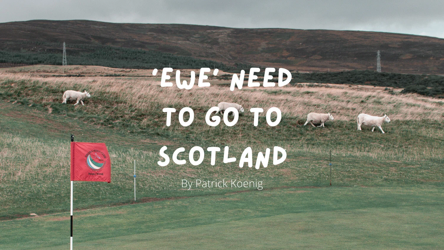 'Ewe' need to go to Scotland