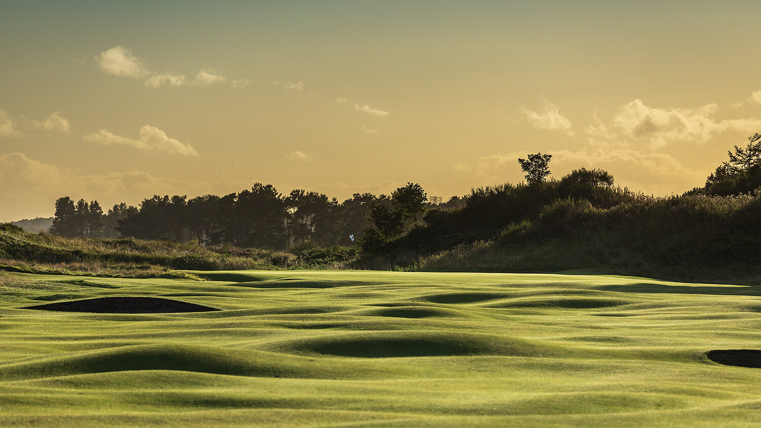panmure-golf-club-angus-4.jpg