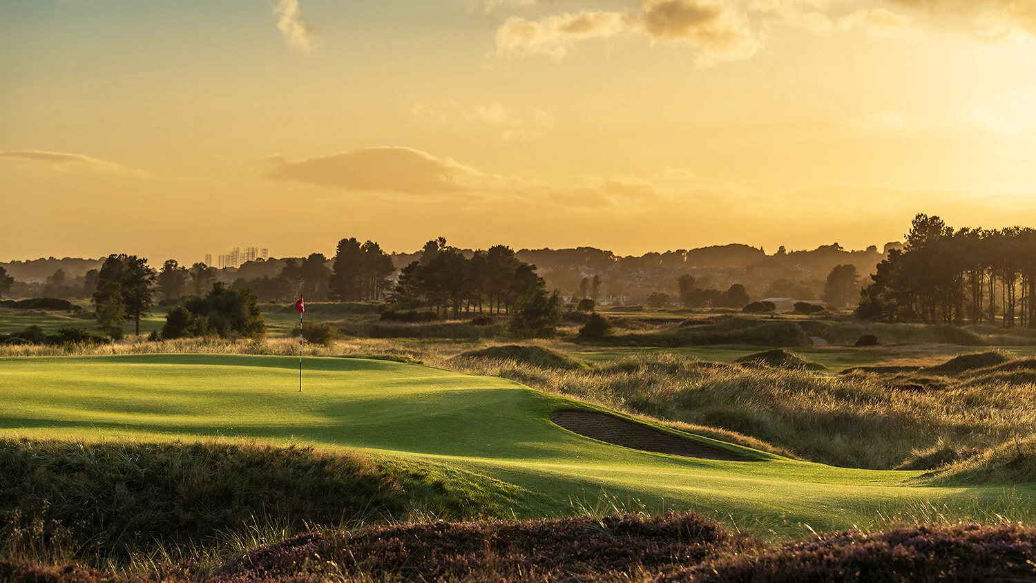 panmure-golf-club-angus-6.1.jpg