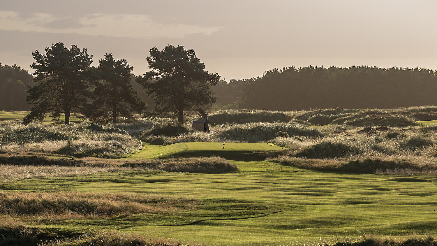 panmure-golf-club-angus-12.jpg