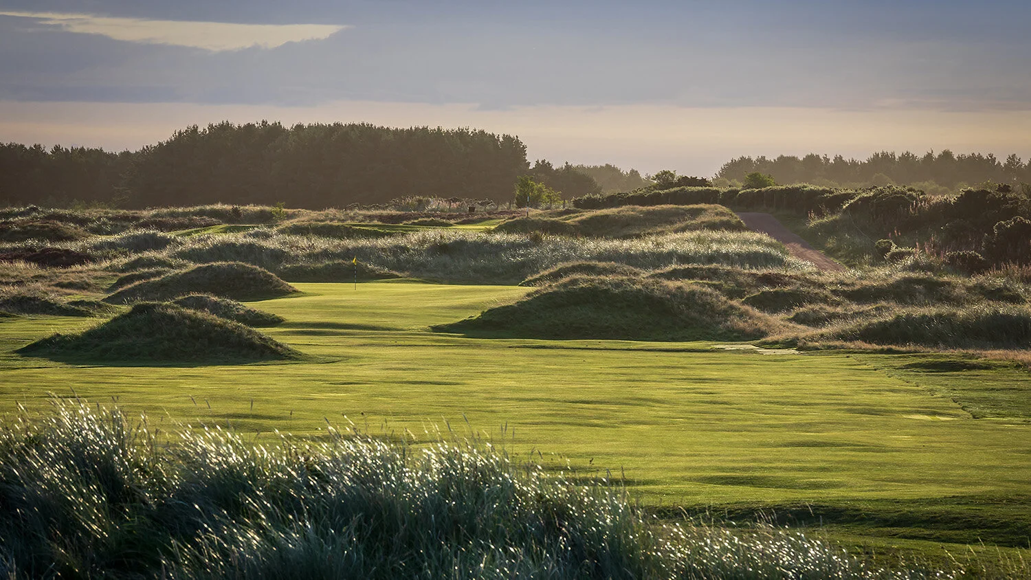 panmure-golf-club-angus-13.1.jpg