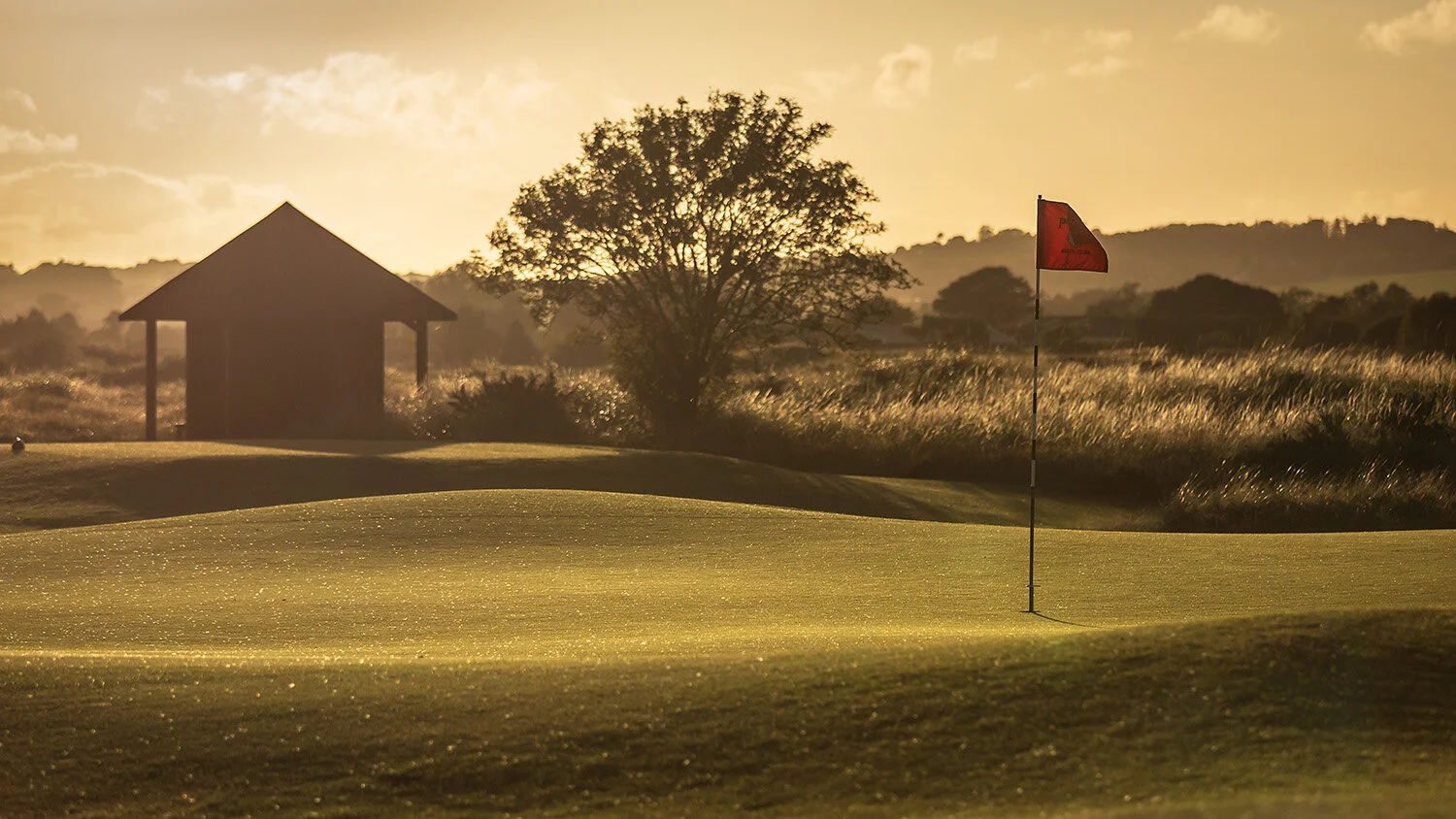 panmure-golf-club-image.jpg