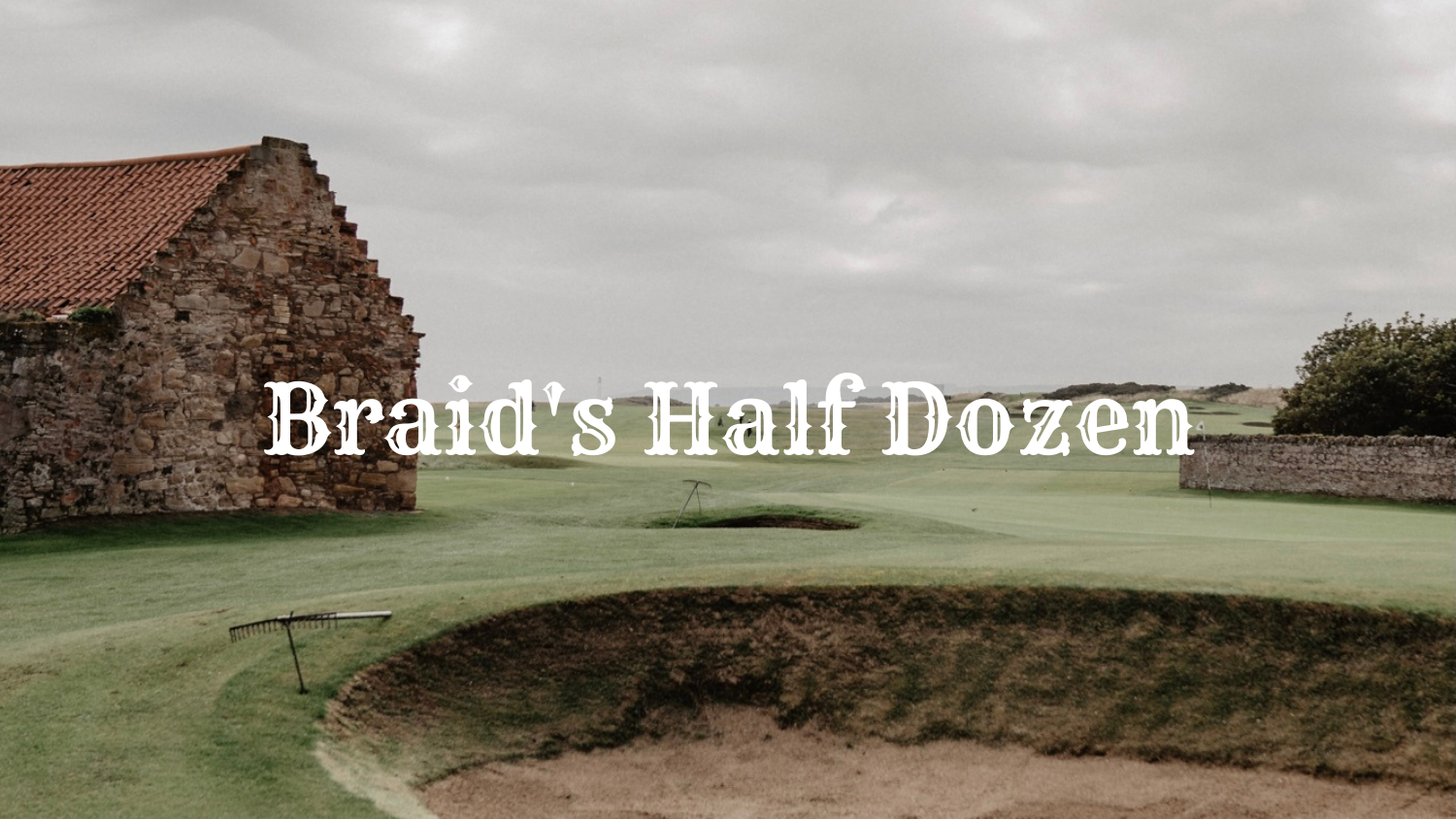 Braid's Half Dozen