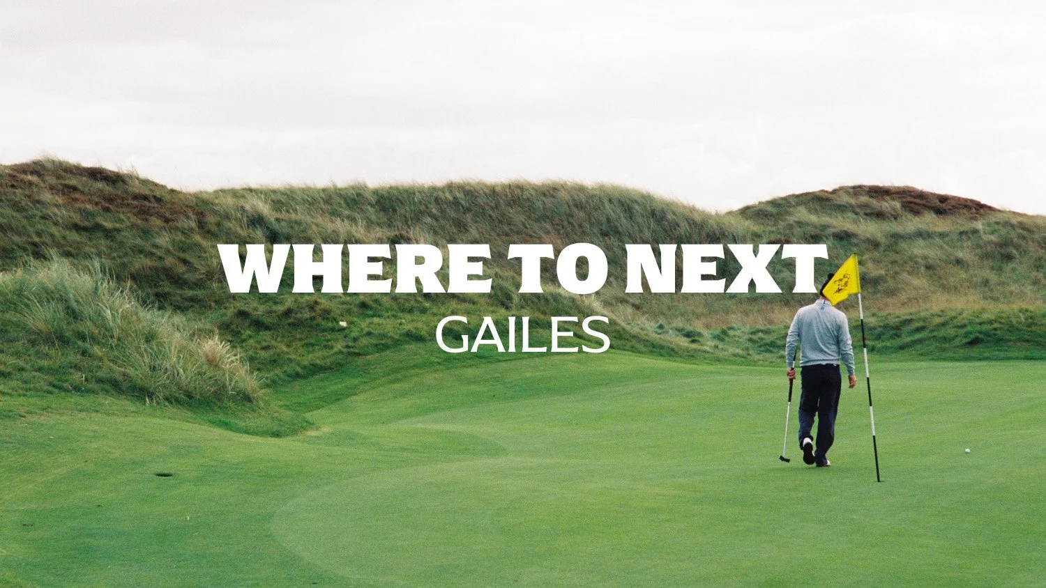 Where To Next - Gailes