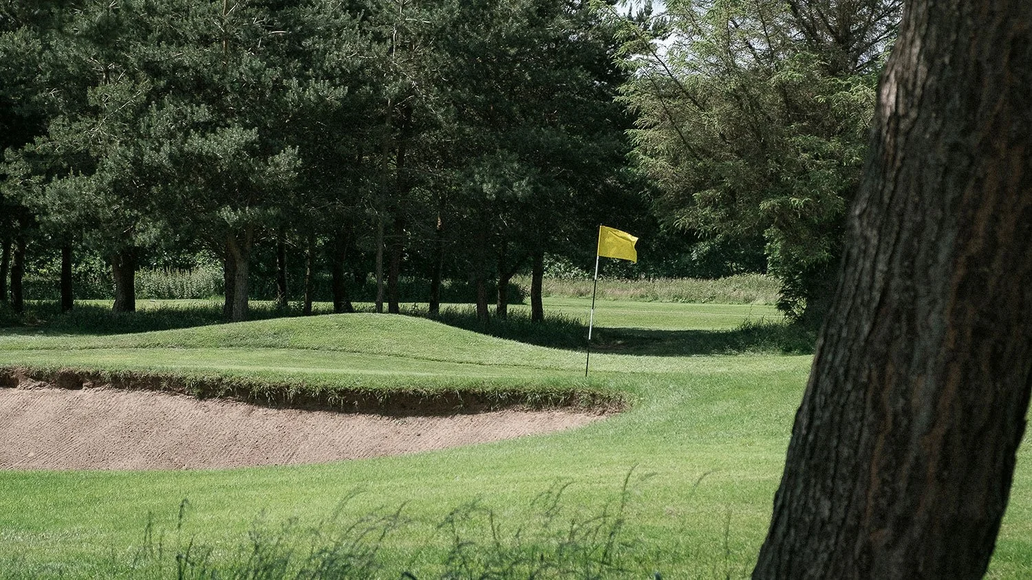 Musselburgh-Golf-Club-13th-green-1500.jpg