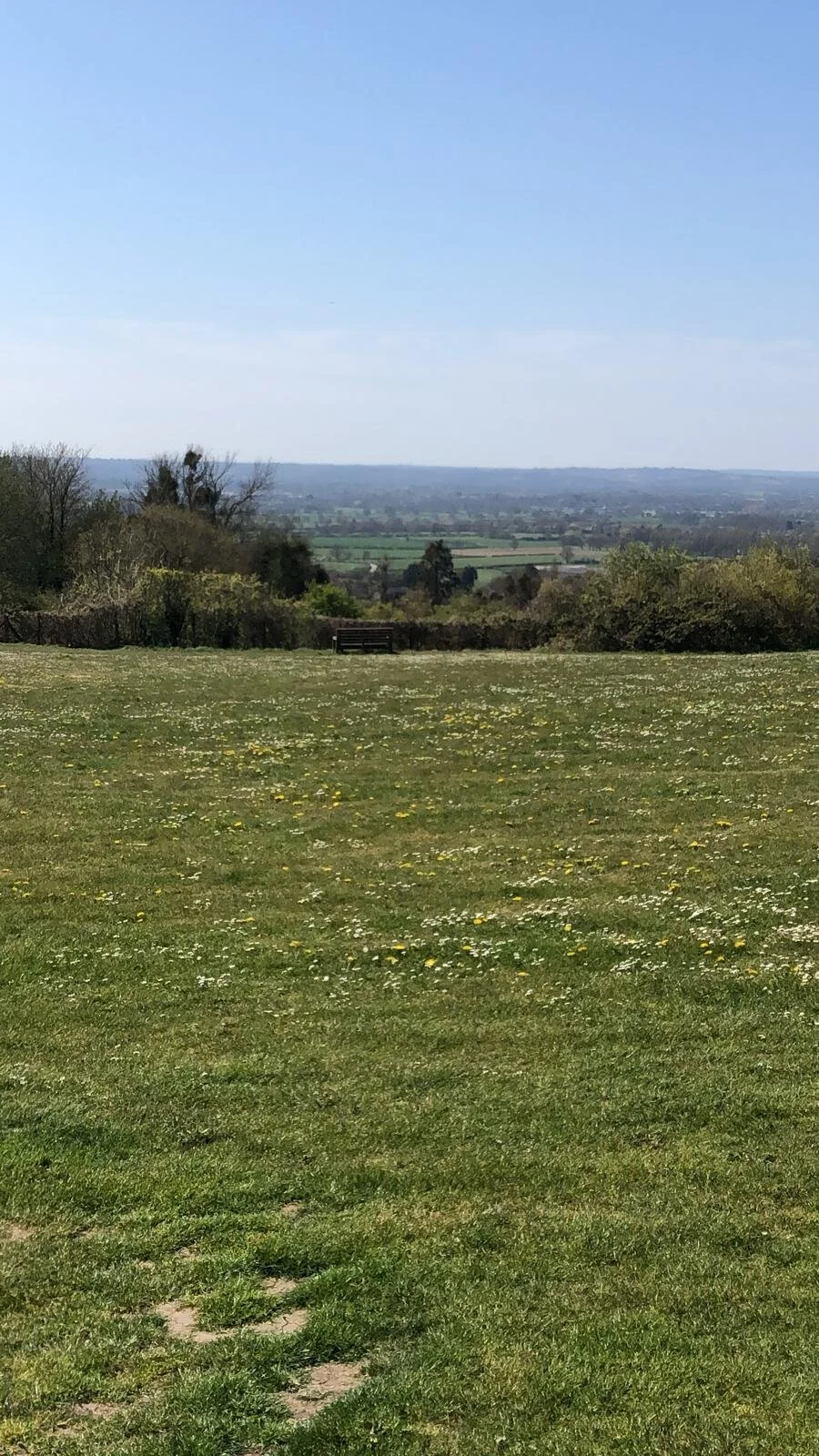 WhatsApp Image 2021-04-24 at 11.47.51.jpeg