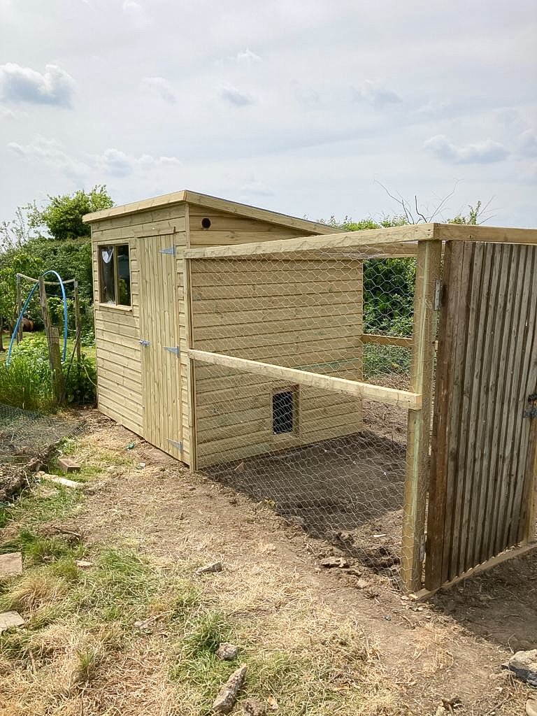 allotment-makeover-08.jpg