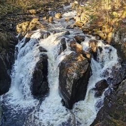 Falls of Linn Waterfalls at the hermitage while on a Loch Ness and Scottish Highlands Day tour from Glasgow