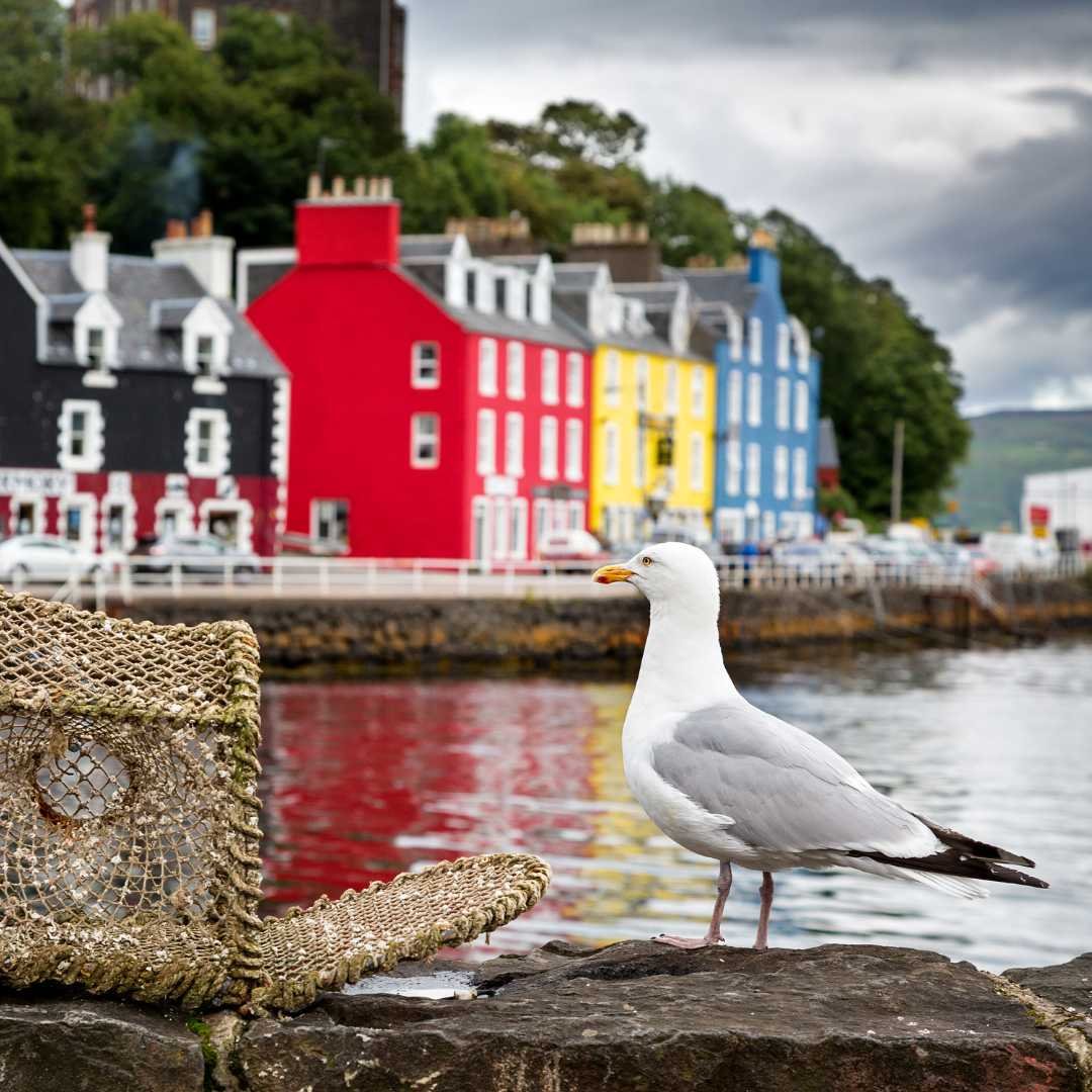 Town of Tobermory on a 4 day Tour from Edinburgh