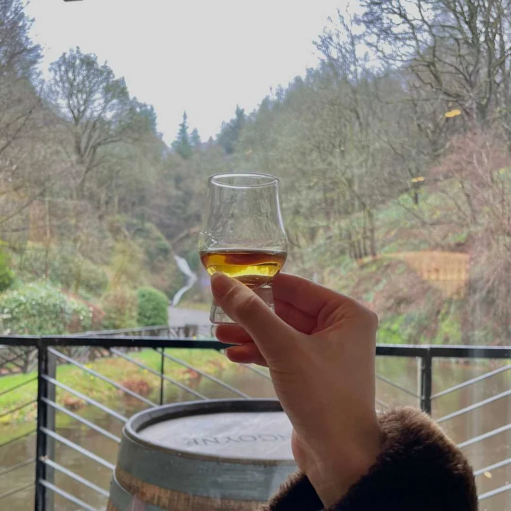 A glass of Scotch whisky during a distillery experience