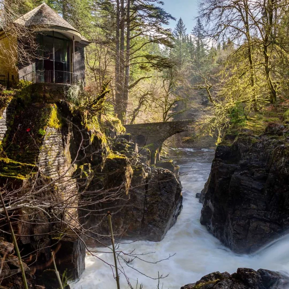 Woodland river and waterfall in the Scottish Highlands