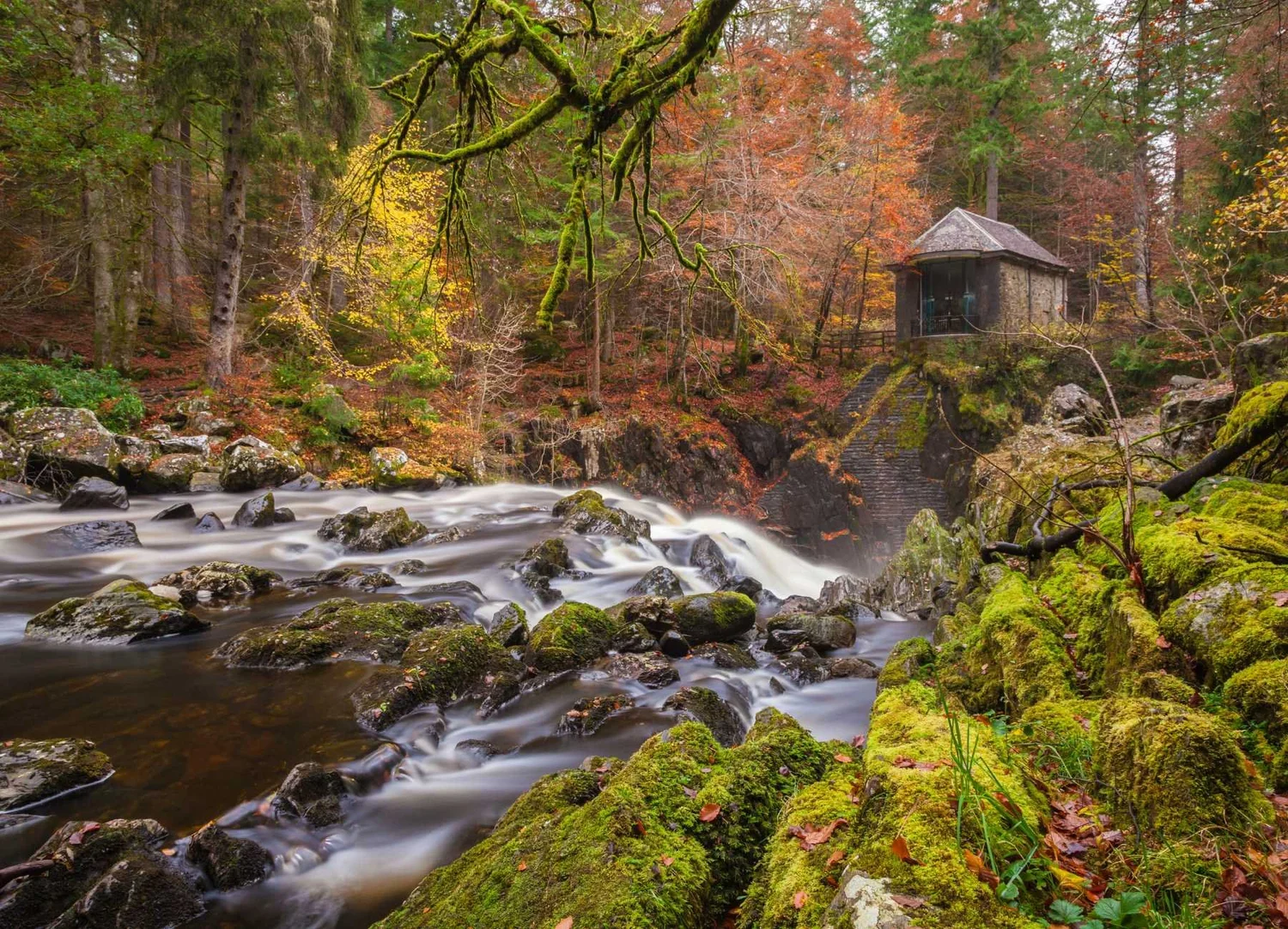 Woodland and waterfalls at The Hermitage in Scotland